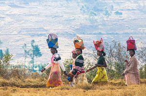Madagascar en couleurs