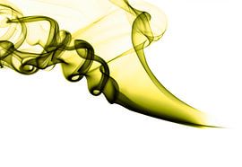 Incense green lying on white background by shoott photography