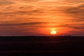 Zon over de dijk by Anita Meis