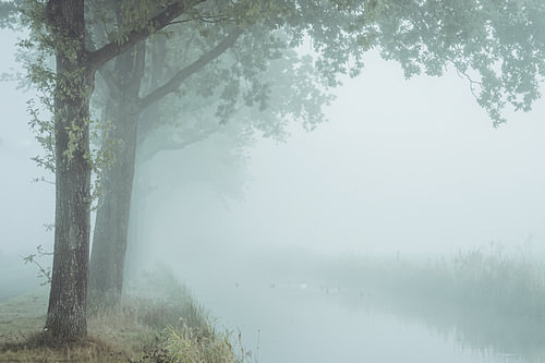 Untouched landscape II