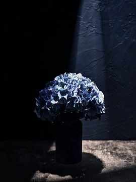 Zwevende vaas met bloem, hortensia van Martijn Hoogendoorn
