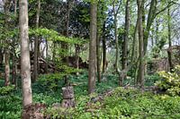 Voorjaar kleurt landschap groen