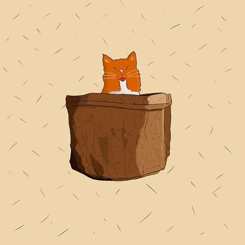 cat's out of the bag