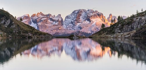 Brenta Trentino