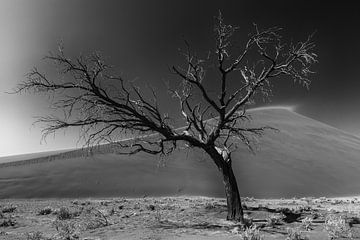 en cours de route en Namibie sur Ed Dorrestein