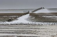 Winterse Waddenzee bij Roptazijl. IJsschotsen drijven op het water van van Meindert van Dijk thumbnail