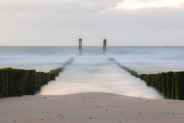 gladde Noordzee van Tania Perneel