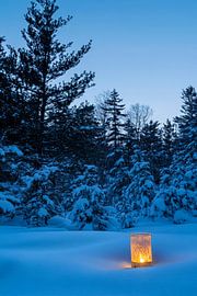 Licht im Schnee von Poster Art Shop