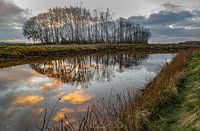Perfect Reflection