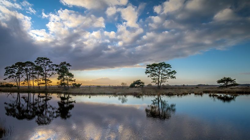 Sunset in the Dwingelderveld National Park by Menno Schaefer