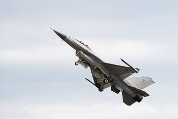 F-16 Fighting Falcon van de Deense Luchtmacht van Wim Stolwerk