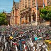 Radfahren an der Universität Groningen von Patricia Hofmeester