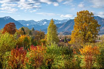 Herbstlandschaft in Munrau mit Blick zu den Alpen