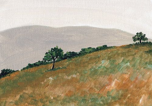 Landschap met glooiende heuvels en schaarse bomen