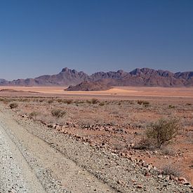 Woestijn in Namibie.(1) van Tineke Koen