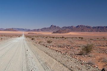 Woestijn in Namibie.(1) van Tineke Koen