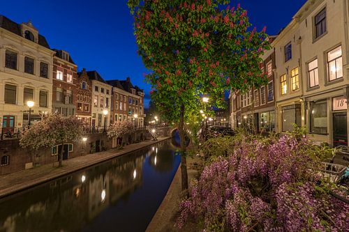 Lente aan de Oudegracht in Utrecht.