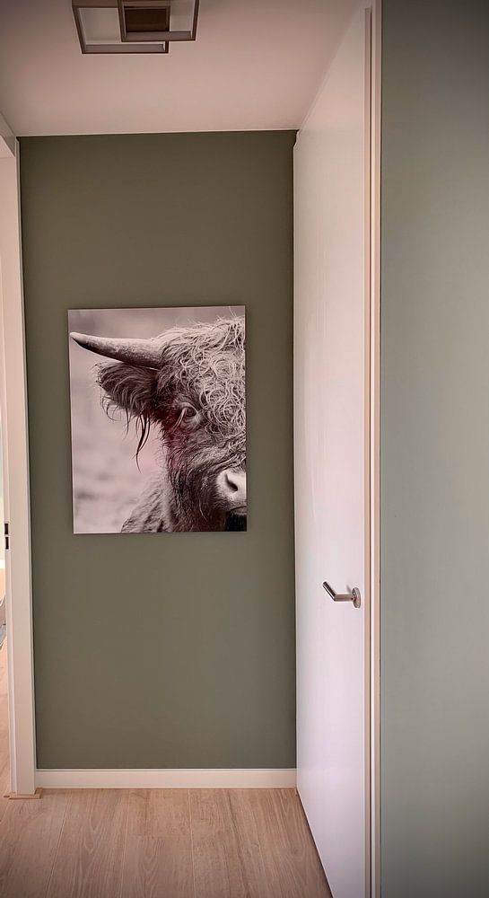 Schotse Hooglander half half  van Hilda booy 