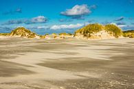 Landschaft mit Dünen auf der Insel Amrum van Rico Ködder thumbnail