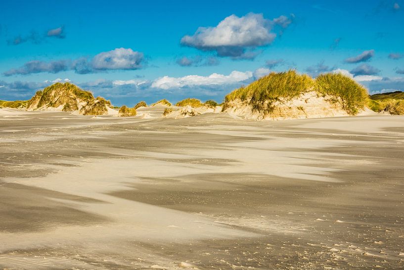 Landschaft mit Dünen auf der Insel Amrum van Rico Ködder