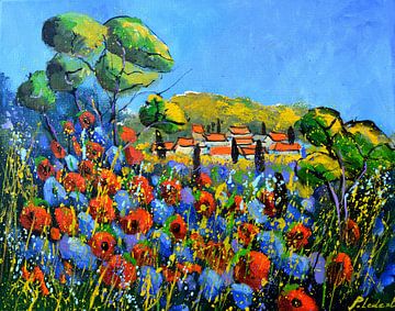 Rode klaprozen in de Provence 54 van pol ledent
