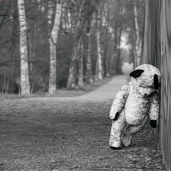 Sad Teddy! van Marcel Rademakers