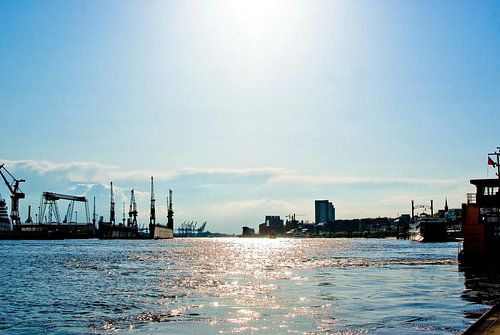 Elbabwärts blickend