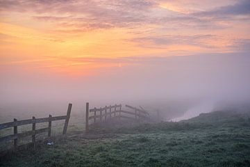 Wormer fence in early morning fog by Pieter Struiksma