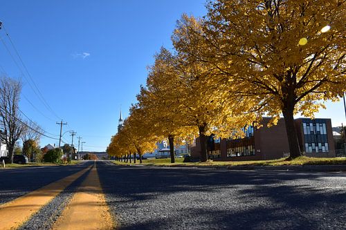 De dorpsstraat in de herfst