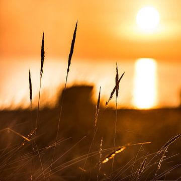 L'herbe des dunes au lever du soleil au bord de la mer Baltique sur Voss Fine Art Fotografie