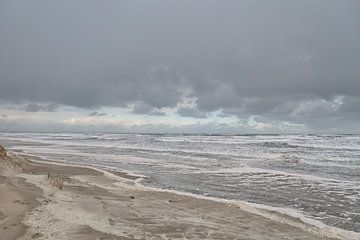 Mer des Wadden et plage en hiver sur Patricia Hofmeester