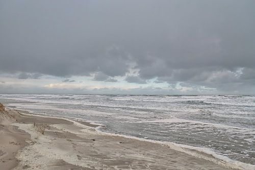 Nederlandse Waddenzee en strand in winter