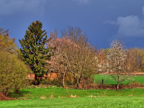 Lente Donderwolken