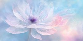 The dancing beauty by Rob 't Hoen