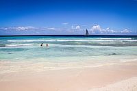 Insel Saona, in der Nähe von Punta Cana in der Dominikanischen Republik
