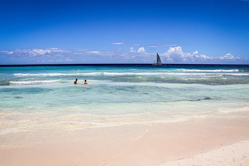 Saona island, Punta cana, Dominicaanse Republiek