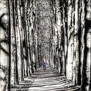 Fietser in kleur op een pad in Gaasterland in zwart/wit van Harrie Muis thumbnail