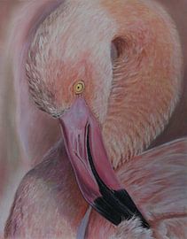 Flamingo portrait by Suzanne ter Huurne