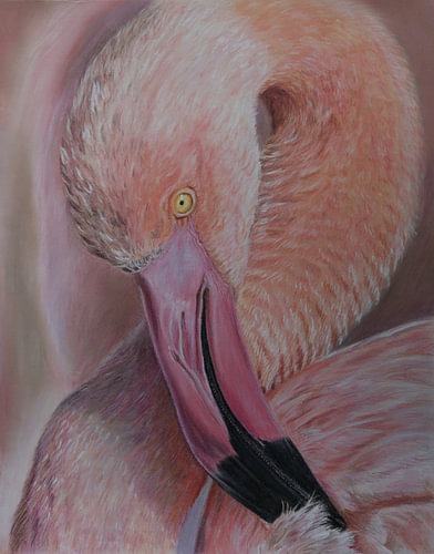 Flamingo portrait