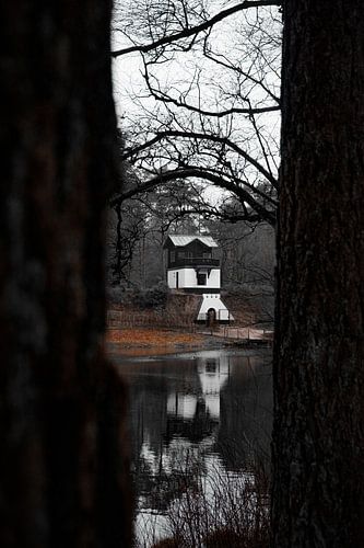Op de Utrechtse Heuvelrug ligt Heidestein en landgoed Bornia, Nederland.