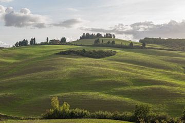 De zachte heuvels van Toscane van Denis Feiner