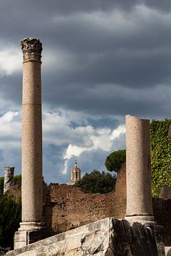 Forum Romanum, Rome van Leticia Spruyt