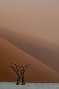 Minimalist Deathvlei