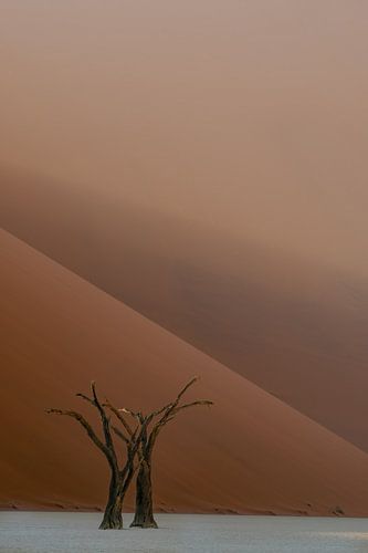 Deathvlei minimalist