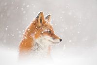 Der Schnee fällt...