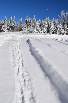 Der Freizeitplatz im Winter