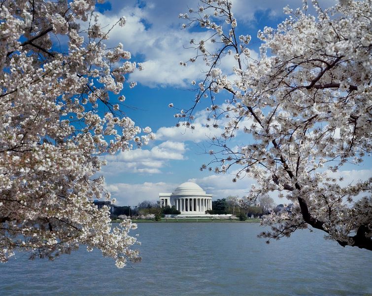 Washington DC by Hello Pompoyo