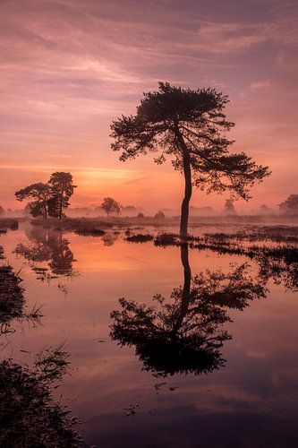 Kleurrijke zonsopkomst bij het water