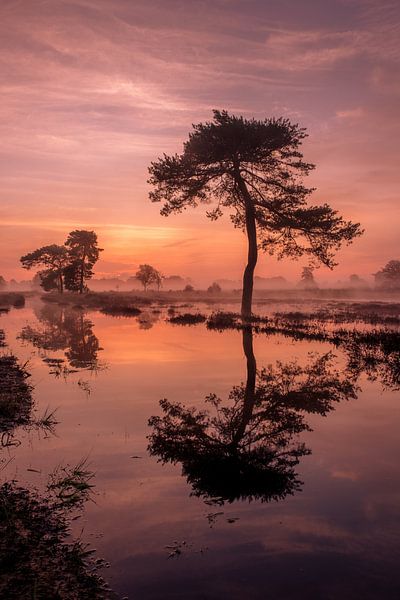 Colourful sunrise by the water by Moetwil en van Dijk - Fotografie