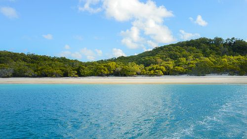 Whitsundays! by Eveliene Deetman